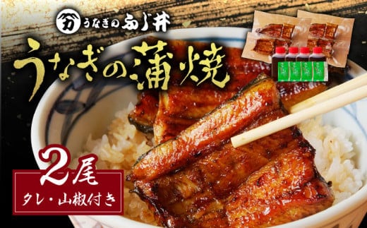 「うなぎのふじ井」うなぎの蒲焼2尾 K250-002