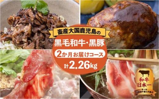 【岩元精肉店】鹿児島県産黒毛和牛・かごしま黒豚 お楽しみ2か月お届けコース K045-T02