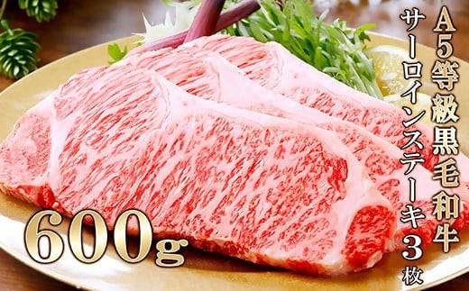 鹿児島県産A5等級黒毛和牛サーロインステーキ3枚(600g) C0-17【1166313】 _ サーロインステーキ サーロイン ステーキ 肉 牛肉 和牛 黒毛和牛 A5等級 霜降り 3枚 600g 冷凍 国産 鹿児島 お祝い 贈答 プレゼント 送料無料