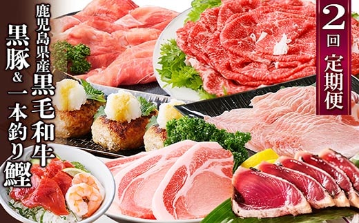 定期便(2回配送)鹿児島県産黒毛和牛・豚肉・一本釣りかつお DD-6004【1166749】 _ ふるさと納税 定期便 和牛 牛肉 豚肉 カツオ すき焼き しゃぶしゃぶ ハンバーグ 海鮮丼 焼肉 鹿児島県
