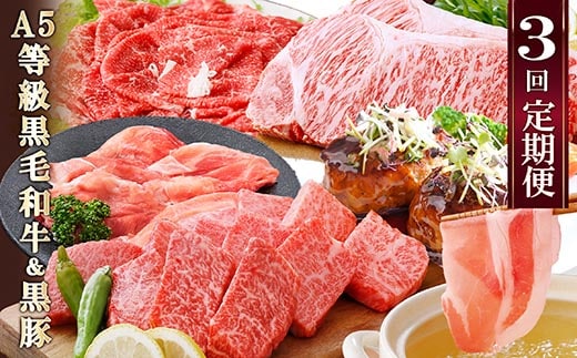 定期便(3回配送)鹿児島産A5等級黒毛和牛&黒豚 EE-6014【1471286】_ ふるさと納税 定期便 牛肉 豚肉 A5等級 黒毛和牛 黒豚 焼肉 サーロイン ステーキ ハンバーグ しゃぶしゃぶ すき焼き