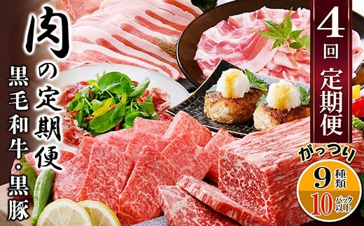 定期便4回配送 肉の定期便 EE-6016【1491491】 _ ふるさと納税 定期便 牛肉 豚肉 肉 黒豚 焼肉 ブロック肉 生ハム 