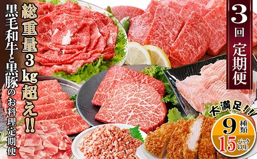 総重量3Kg越え、鹿児島県産黒毛和牛と黒豚のお料理定期便(3回配送) EE0-0002【1504377】 _ ふるさと納税 定期便 牛肉 豚肉 切り落とし しゃぶしゃぶ ハンバーグ ミンチ すき焼き 焼肉