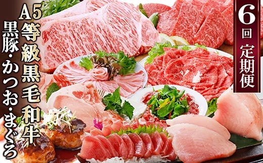 定期便(6回)A5等級黒毛和牛・黒豚・かつお・まぐろ FF-0058【1166770】 _ 定期便 牛肉 肉 お肉 サーロイン ステーキ 焼肉 ハンバーグ 切り落とし 豚肉 しゃぶしゃぶ ロース バラ 霜降り 生ハム まぐろ かつお ふるさと納税 定期便 黒毛和牛 黒豚 カツオ マグロ 焼肉 さつま揚げ ステーキ