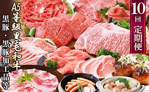 定期便(1年で10回配送)お楽しみ便(A5等級黒毛和牛・黒豚)HH-6004【1166752】 _ ふるさと納税 定期便 肉 牛肉 サーロイン ステーキ 焼肉 ハンバーグ 切り落とし 豚肉 ロース バラ もつ鍋