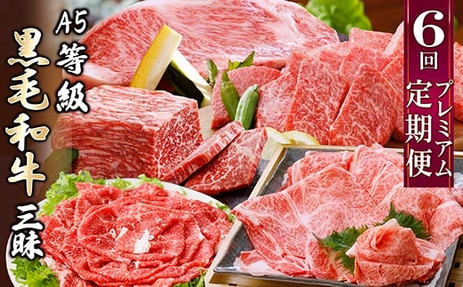 定期便(6回配送)A5等級鹿児島県産黒毛和牛三昧 II-0016【1166763】_ ふるさと納税 定期便 牛肉 霜降り 焼肉 黒毛和牛 サーロイン ステーキ 切り落とし しゃぶしゃぶ 肩ロース すき焼き