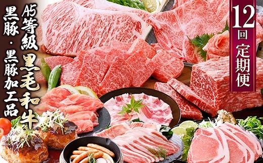 お肉の定期便(12回)枕崎お楽しみ便(A5等級黒毛和牛・黒豚・黒豚加工品etc) KK-6003【1166746】 _ 肉 定期便 黒毛和牛 黒豚 加工品 ステーキ ソーセージ 生ハム 12回 ハンバーグ 鹿児島県 枕崎市 人気 おすすめ 送料無料 贈答 ギフト カツ