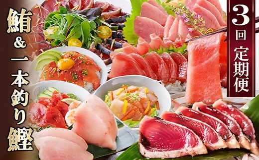 定期便(3ケ月)枕崎ふるさと納税 まぐろ&一本釣りかつお LL-6001【1457813】 _ ふるさと納税 定期便 カツオ タタキ 一本釣り マグロ 本マグロ 中トロ 海鮮丼 刺身 九州 鹿児島県 枕崎市 人気 送料無料