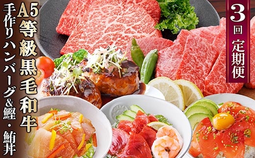 定期便(3回配送)枕崎お楽しみ便(黒毛和牛・黒豚ハンバーグ・まぐろ かつお丼) LL-6005【1462804】 _ ふるさと納税 定期便 牛肉 豚肉 黒毛和牛 ステーキ 黒豚 カツオ マグロ 和牛 ハンバーグ 海鮮丼 刺身 漬け丼 赤身ステーキ 焼肉