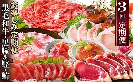 定期便3回配送 お楽しみ定期便(黒毛和牛・黒豚・かつお・まぐろ) LL-6014【1485110】 _ 定期便 ふるさと納税 牛肉 肉 お肉 焼肉 やきにく ハンバーグ 切り落とし 豚肉 ロース スライス バラ まぐろ 鮪 かつお 鰹 タタキ