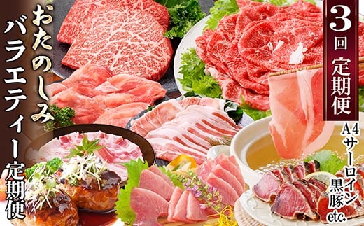 定期便(3回配送) お楽しみバラエティー定期便 LL-6017【1499420】 _ 定期便 牛肉 お肉 かつお まぐろ 肉 ロース バラ スライス 赤身 ステーキ 切り落とし たたき 焼肉 ハンバーグ 鰹 黒豚 刺身