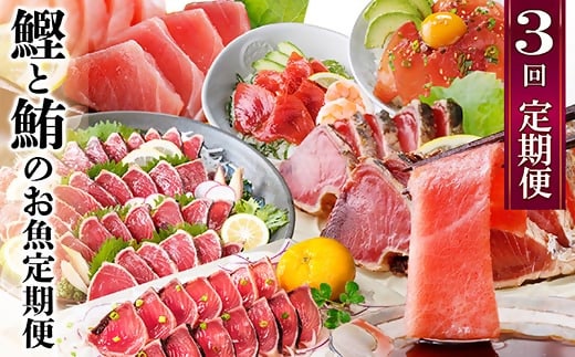 定期便3回配送 鰹とまぐろのお魚定期便 QQ-0005【1543247】 _ 定期便 魚 かつお まぐろ 血合抜き 鰹タタキ かつおのたたき 中トロ メバチ 赤身 かつお丼 まぐろ丼 海鮮丼