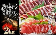 1本釣り血合抜きかつお(炭焼たたき・刺身)2Kg　 A8-38【1166294】 _ かつお 枕崎市 かつおのたたき カツオ 鰹 たたき 小分け おつまみ 刺身 1本釣り 人気 赤身