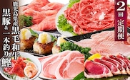 定期便(2回配送)鹿児島県産黒毛和牛・豚肉・一本釣りかつお DD-6004【1166749】 _ ふるさと納税 定期便 和牛 牛肉 豚肉 カツオ すき焼き しゃぶしゃぶ ハンバーグ 海鮮丼 焼肉 鹿児島県