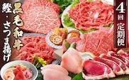 定期便(4回配送)黒毛和牛&まぐろ・かつお・さつま揚げ EE-0046 【1166765】_ 定期便 牛肉 肉 お肉 焼肉 切り落とし ロース モモ 霜降り さつまあげ さつま揚げ ステーキ かつお まぐろ 