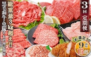 総重量3Kg越え、鹿児島県産黒毛和牛と黒豚のお料理定期便(3回配送)　EE0-0002【1504377】 _ ふるさと納税 定期便 牛肉 豚肉 切り落とし しゃぶしゃぶ ハンバーグ ミンチ すき焼き 焼肉