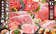 定期便(6回)A5・A4等級黒毛和牛・黒豚etc FF-0061【1166779】 _ ふるさと納税 定期便 牛肉 豚肉 和牛 サーロイン ステーキ 黒豚 しゃぶしゃぶ 焼肉 すき焼き 生ハム ハンバーグ ソーセージ