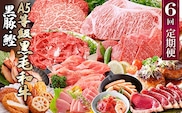 定期便(1年で6回)枕崎お楽しみ便(黒毛和牛・黒豚・かつおetc) GG-6002【1166744】 _ 肉 お肉 牛肉 サーロイン ステーキ 焼肉 ハンバーグ 切り落とし 豚肉 ロース バラ しゃぶしゃぶ もつ鍋 餃子 ソーセージ 鰹