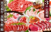 定期便3回配送　お楽しみ定期便(黒毛和牛・黒豚・かつお・まぐろ) LL-6014【1485110】 _ 定期便 ふるさと納税 牛肉 肉 お肉 焼肉 やきにく ハンバーグ 切り落とし 豚肉 ロース スライス バラ まぐろ 鮪 かつお 鰹 タタキ