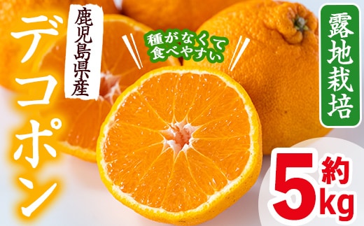 i084 ≪先行予約受付中！2026年3月上旬から順次発送≫鹿児島県産！デコポン(約5kg・L~4Lサイズ 15~24玉) 国産 みかん 柑橘 種なし 果物 くだもの フルーツ 旬 露地裁場 【JA鹿児島いずみ(果実課)】