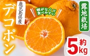 i084 ≪先行予約受付中！2026年3月上旬から順次発送≫鹿児島県産！デコポン(約5kg・L~4Lサイズ 15~24玉) 国産 みかん 柑橘 種なし 果物 くだもの フルーツ 旬 露地裁場 【JA鹿児島いずみ(果実課)】