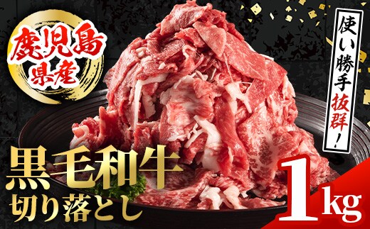 i1000 鹿児島県産 黒毛和牛 切り落とし (計1kg・500g×2パック) 国産 九州産 鹿児島産 黒毛和牛 牛肉 国産牛 切り落とし 切落し 小分け 冷凍配送 【スターゼン】