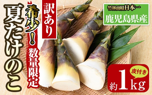 i1066 鹿児島めんま 出汁?油 四川山椒 セット(100g×2種) めんま 出汁 醤油 四川山椒 山椒 国産 九州 常温 味付き 味付け おつまみ おかず ごはんのお供 晩酌 ピリ辛 ラーメン 具材 トッピング 漬物 竹 幼竹 孟宗竹 環境保全 メール便 ポスト投函 【シンタク】