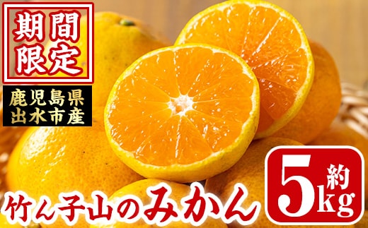 i1030 ＜先行予約受付中！2025年11月上旬～12月下旬の間に発送予定＞≪数量・期間限定≫いずみ産 竹ん子山のみかん(約5kg) 鹿児島 国産 九州産 みかん ミカン 蜜柑 柑橘 くだもの フルーツ 果実 【イーサイドライン】