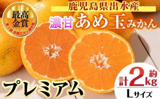 i1059-C ＜先行予約受付中！2025年11月中旬～2026年1月下旬の間に発送予定＞【特別栽培・最高金賞】温州みかん日本一！濃甘あめ玉みかん～プレミアム 恵み～(約2kg・Lサイズ) みかん 蜜柑 ミカン 柑橘 果物 フルーツ 果実 国産 鹿児島 プレミアム 厳選 ギフト プレゼント 贈答用 贈り物 【Farmer friends Marche】
