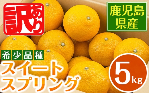 i1067-A ＜2025年12月下旬～2月下旬の間に発送予定＞ ＜数量・期間限定＞ 《傷ありのため訳あり》 スイートスプリング (約5kg) 鹿児島 みかん スイートスプリング 柑橘 果物 くだもの フルーツ 旬 ミカン 【江崎果樹園】