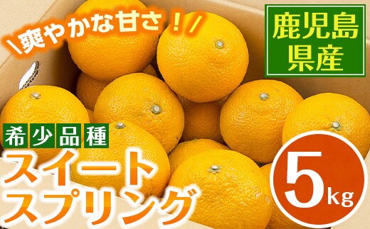 i1068 ＜2025年12月下旬～2月下旬の間に発送予定＞ ＜数量・期間限定＞ スイートスプリング (約5kg) 鹿児島 みかん スイートスプリング 柑橘 果物 くだもの フルーツ 旬 ミカン オレンジ 【江崎果樹園】