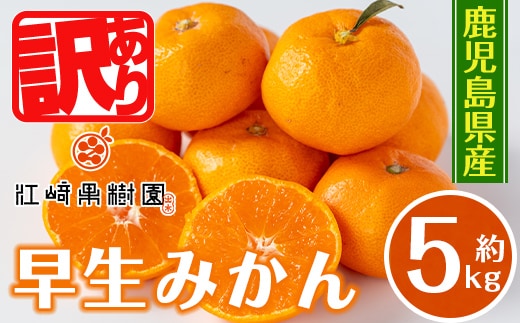 i1069-B ＜2025年12月の間に発送予定＞ ＜数量・期間限定＞《傷ありのため訳あり》鹿児島みかん 早生系 (約5kg) みかん 蜜柑 ミカン 柑橘 早生 果物 フルーツ 果実 国産 鹿児島 訳あり 数量限定 期間限定 【江崎果樹園】