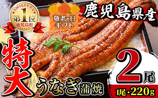 i1078-A-k 【敬老の日ギフト】＼特大サイズ／鹿児島県産 うなぎ蒲焼 2尾（約220g×2・計約440g） たれ 山椒付きうなぎ 鰻 ウナギ 特大 特大サイズ 約220g 蒲焼き 国産 鹿児島県産 焼きたて 生産量日本一 真空パック おかず 晩御飯 特別な日 贈答 ギフト プレゼント 敬老の日 【薩摩川内鰻】