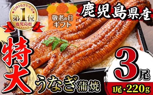 i1078-B-k 【敬老の日ギフト】＼特大サイズ／鹿児島県産 うなぎ蒲焼 3尾（約220g×3・計約660g） たれ 山椒付きうなぎ 鰻 ウナギ 特大 特大サイズ 約220g 蒲焼き 国産 鹿児島県産 焼きたて 生産量日本一 真空パック おかず 晩御飯 特別な日 贈答 ギフト プレゼント 敬老の日 【薩摩川内鰻】