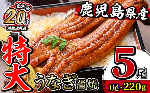 i1078-C 【出水市政20周年企画！】＼特大サイズ／鹿児島県産 うなぎ蒲焼 5尾（約220g×5・計約1100g） たれ 山椒付きうなぎ 鰻 ウナギ 特大 特大サイズ 約220g 蒲焼き 国産 鹿児島県産 焼きたて 生産量日本一 真空パック おかず 晩御飯 特別な日 土用の丑の日 【薩摩川内鰻】