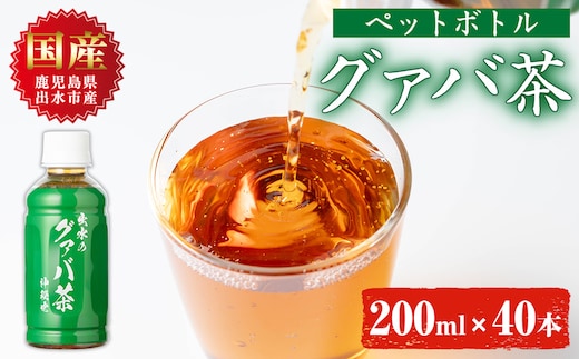 i1137-A グァバ茶PET(神秘也)200ml×40本 お茶 茶 国産 グァバ葉 ノンカフェイン ポリフェノール 血糖値 コレステロール ペットボトル 【出水酒造 izumi-syuzou】