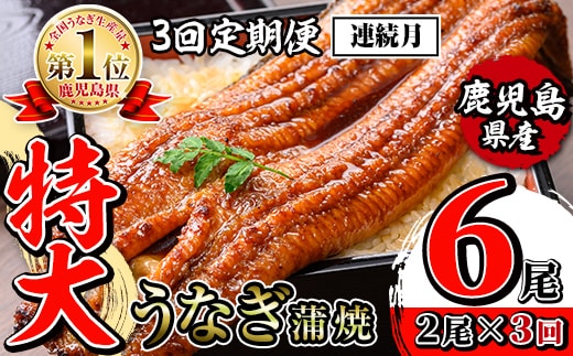 i1172-A ＜定期便・計3回(連続月)＞＼特大サイズ／鹿児島県産 うなぎ蒲焼 2尾セット＜（約220g×2・計約440g）×全3回＞ 定期便 たれ 山椒付きうなぎ 鰻 ウナギ 特大 特大サイズ 約220g 蒲焼き 国産 鹿児島県産 焼きたて 生産量日本一 真空パックおかず 晩御飯 特別な日 土用の丑の日 【薩摩川内鰻】
