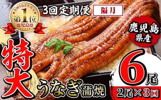 i1172-B ＜定期便・計3回(隔月)＞＼特大サイズ／鹿児島県産 うなぎ蒲焼 2尾セット＜（約220g×2・計約440g）×全3回＞ 定期便 たれ 山椒付きうなぎ 鰻 ウナギ 特大 特大サイズ 約220g 蒲焼き 国産 鹿児島県産 焼きたて 生産量日本一 真空パックおかず 晩御飯 特別な日 土用の丑の日 【薩摩川内鰻】