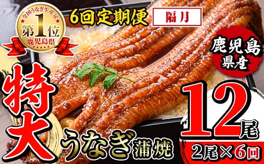 i1173-B ＜定期便・計6回(隔月)＞＼特大サイズ／鹿児島県産 うなぎ蒲焼 2尾セット ＜（約220g×2・計約440g）×全6回＞ 定期便 たれ 山椒付きうなぎ 鰻 ウナギ 特大 特大サイズ 約220g 蒲焼き 国産 鹿児島県産 焼きたて 生産量日本一 真空パックおかず 晩御飯 特別な日 土用の丑の日 【薩摩川内鰻】