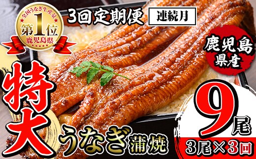i1174-A ＜定期便・計3回(連続月)＞＼特大サイズ／鹿児島県産 うなぎ蒲焼 3尾セット＜（約220g×3・計約660g）×全3回＞ 定期便 たれ 山椒付きうなぎ 鰻 ウナギ 特大 特大サイズ 約220g 蒲焼き 国産 鹿児島県産 焼きたて 生産量日本一 真空パックおかず 晩御飯 特別な日 土用の丑の日 【薩摩川内鰻】