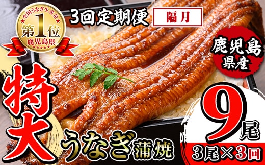 i1174-B ＜定期便・計3回(隔月)＞＼特大サイズ／鹿児島県産 うなぎ蒲焼 3尾セット＜（約220g×3・計約660g）×全3回＞ 定期便 たれ 山椒付きうなぎ 鰻 ウナギ 特大 特大サイズ 約220g 蒲焼き 国産 鹿児島県産 焼きたて 生産量日本一 真空パックおかず 晩御飯 特別な日 土用の丑の日 【薩摩川内鰻】
