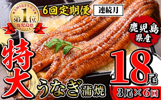 i1175-A ＜定期便・計6回(連続月)＞＼特大サイズ／鹿児島県産 うなぎ蒲焼 3尾セット ＜（約220g×3・計約660g）×全6回＞ 定期便 たれ 山椒付きうなぎ 鰻 ウナギ 特大 特大サイズ 約220g 蒲焼き 国産 鹿児島県産 焼きたて 生産量日本一 真空パックおかず 晩御飯 特別な日 土用の丑の日 【薩摩川内鰻】