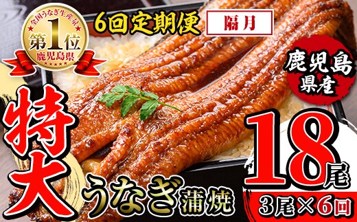 i1175-B ＜定期便・計6回(隔月)＞＼特大サイズ／鹿児島県産 うなぎ蒲焼 3尾セット ＜（約220g×3・計約660g）×全6回＞ 定期便 たれ 山椒付きうなぎ 鰻 ウナギ 特大 特大サイズ 約220g 蒲焼き 国産 鹿児島県産 焼きたて 生産量日本一 真空パックおかず 晩御飯 特別な日 土用の丑の日 【薩摩川内鰻】