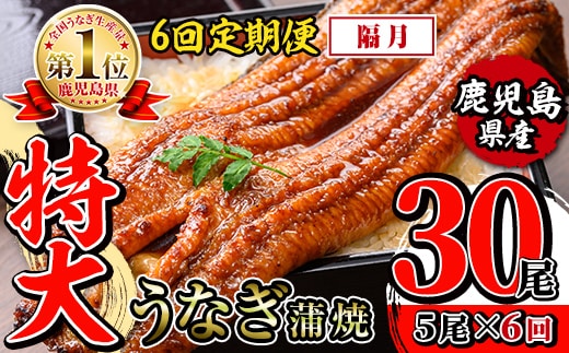 i1177-B ＜定期便・計6回(隔月)＞＼特大サイズ／鹿児島県産 うなぎ蒲焼 5尾セット ＜（約220g×5・計約1100g）×全6回＞ 定期便 たれ 山椒付きうなぎ 鰻 ウナギ 特大 特大サイズ 約220g 蒲焼き 国産 鹿児島県産 焼きたて 生産量日本一 真空パックおかず 晩御飯 特別な日 土用の丑の日 【薩摩川内鰻】