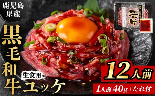 i1211-B 鹿児島県産黒毛和牛ユッケ12人前(40g×12P・計480g) 肉 牛肉 黒毛和牛 国産 鹿児島県産 ユッケ 生食 旨み カミチク 【株式会社LRプラスK】