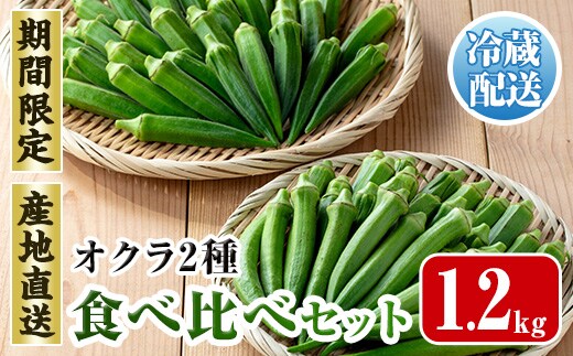 i1217-B ≪先行予約受付中！2026年7月下旬～10月下旬の間に発送予定≫いずみ産 丸オクラ・ジュピター食べ比べセット (1.2kg) オクラ おくら 野菜 夏野菜 サラダ おひたし 天ぷら 炒め物 新品種 丸オクラ 食べ比べ 【イーサイドライン】