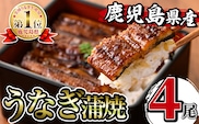 ※停止中※ i1077 鹿児島県産うなぎ蒲焼4尾セット(約140g×4・計約560g) うなぎ 鰻 ウナギ 4尾 蒲焼き 国産 鹿児島県産 焼きたて 生産量日本一 真空パック おかず 晩御飯 特別な日 土用の丑の日 丑の日 【薩摩川内鰻】