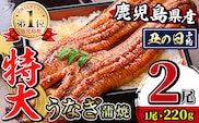 i1078-A-us 【2026年丑の日までに配送】＼特大サイズ／鹿児島県産 うなぎ蒲焼 2尾（約220g×2・計約440g） たれ 山椒付きうなぎ 鰻 ウナギ 特大 特大サイズ 約220g 蒲焼き 国産 鹿児島県産 焼きたて 生産量日本一 真空パック おかず 晩御飯 特別な日 土用の丑の日 【薩摩川内鰻】