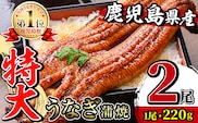 ※停止中※ i1078-A ＼特大サイズ／鹿児島県産 うなぎ蒲焼 2尾（約220g×2・計約440g） たれ 山椒付きうなぎ 鰻 ウナギ 特大 特大サイズ 約220g 蒲焼き 国産 鹿児島県産 焼きたて 生産量日本一 真空パック おかず 晩御飯 特別な日 土用の丑の日 【薩摩川内鰻】