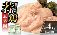 i1091-A 鹿児島県産 若鶏ムネ肉 (2kg×2袋・計4kg ) 鶏肉 鳥肉 とり肉 ムネ むね肉 国産 鹿児島県産 2kg 4kg 安心安全 冷凍 【まつぼっくり】